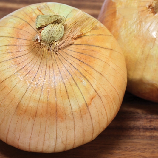 Onion Casserole